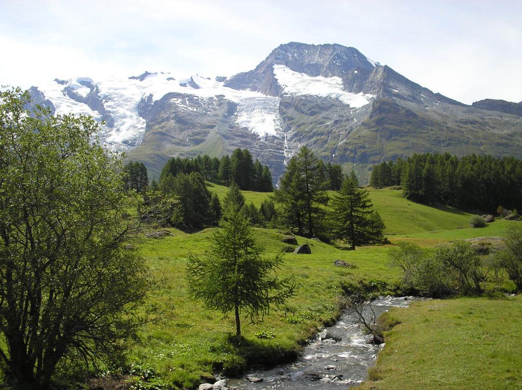 Bed and Breakfast Chalet Bois D'Antan à Sainte-Foy-Tarentaise Extérieur photo